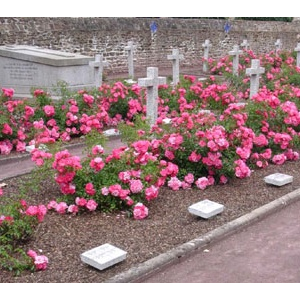 Le cimetière de Rillé