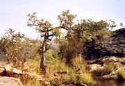 Aux environs de Tambaga