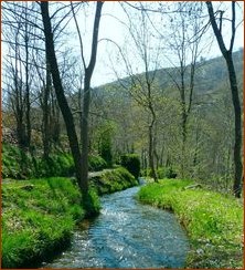 Nature belle et féconde…