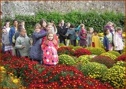 Les enfants dans les chrysanthèmes