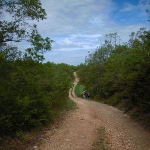 Appel du chemin … En avant !