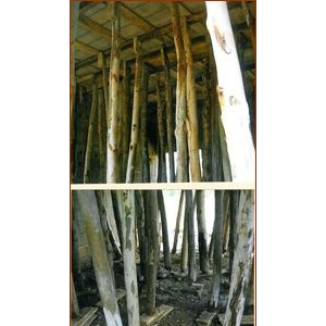 poteaux en bois soutenant les dalles