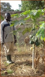 Le jardinier heureux du fruit de son travail