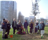 Plantation de l'arbre de la fraternité dans le quartier du Blosne Plantation de l'arbre de la fraternité dans le quartier du Blosne
