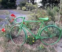 Les bicyclettes attendent les sportifs… Les bicyclettes attendent les sportifs…