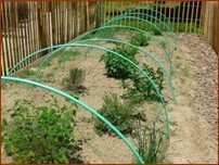 Le Jardin des Epices, réalisé avec les enfants en ACE