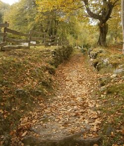Mon chemin de sainteté…