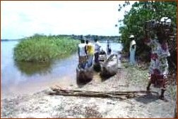 Paysage d'eau et de forêt en RDC Paysage d'eau et de forêt en RDC