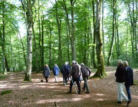 Journée annuelle d'amitié en forêt de Trans (35) des 2 équipes de MCR