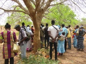 Le groupe ATD Quart-Monde Burkina visite la forêt de Mr Yacouba Le groupe ATD Quart-Monde Burkina visite la forêt de Mr Yacouba