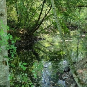Vers Saint Jacques de Compostelle