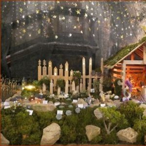 Immeubles éclairés près de la crèche