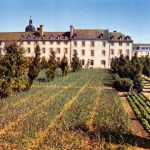 Rillé : potager