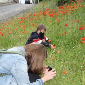 Jeunes photographiant des coquelicots sur le bord de la route
