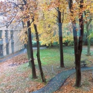 Le Parc d'Ave Maria (Geulle)