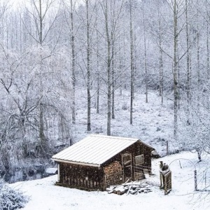Dans le froid de l'hiver - Au Cœur de l'hiver