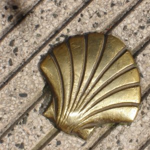 La coquille, emblème du pèlerin de St Jacques