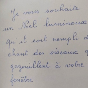 Vœux d'un Noël lumineux