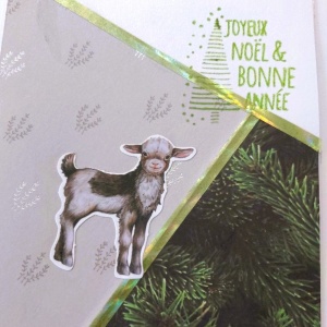 Que ce mouton câlin vous enveloppe de laine de Paix et de Tendresse !
